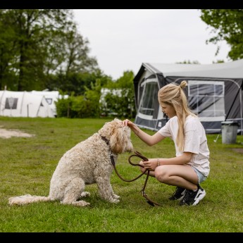 Hond- meisje met hond voor caravan-bijgesneden.jpg