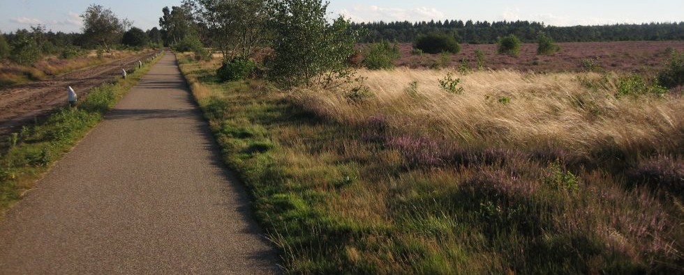 foto fietsen.jpg