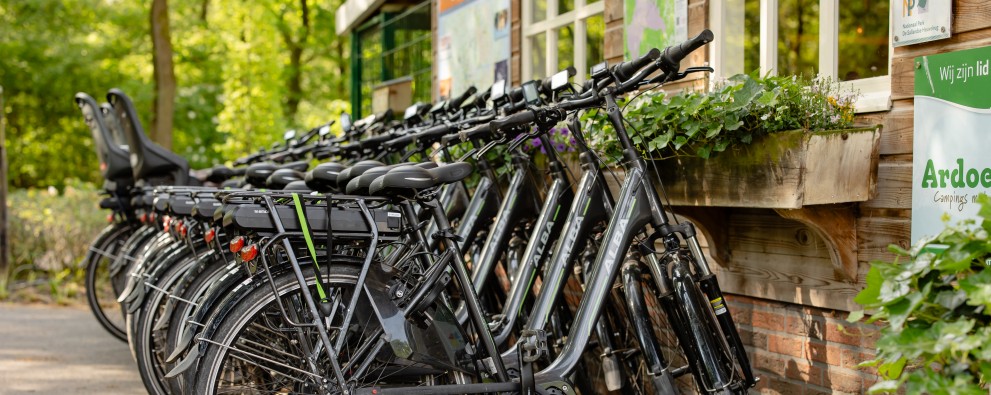 Fietsverhuur 1C5A8323.jpg