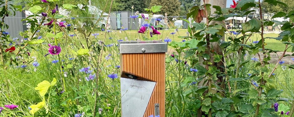 Vlinder - bloemen.jpg Vlinder - bloemen.jpg