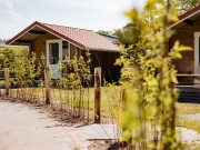 kampeerhut- buitenkant twee hutten.jpg