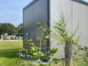 Vlinder - buitenkant met speeltuin op achtergrond.jpg