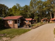 kampeerhut- 5 kampeerhutten op rij.jpg