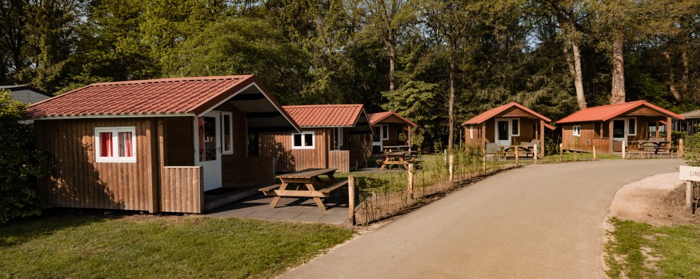 kampeerhut- 5 kampeerhutten op rij.jpg
