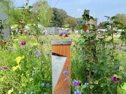 Vlinder - bloemen.jpg