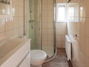 Lodge 4 pers-badkamer.jpg