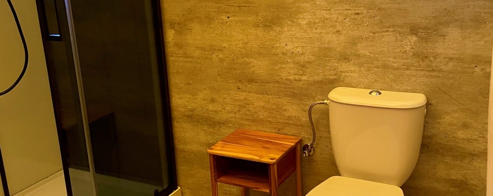foto badkamer, met name de wc.jpg