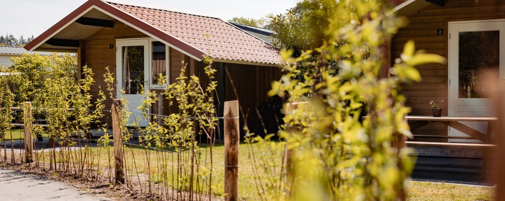 kampeerhut- buitenkant twee hutten.jpg
