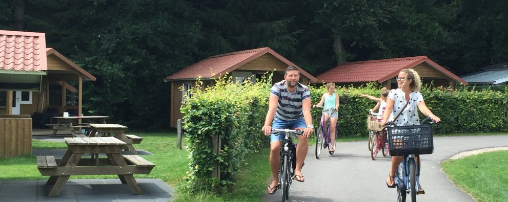 Fiets- en MTB verhuur