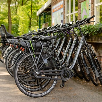 Fietsverhuur 1C5A8323.jpg