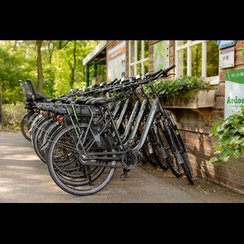 Fietsverhuur 1C5A8323.jpg